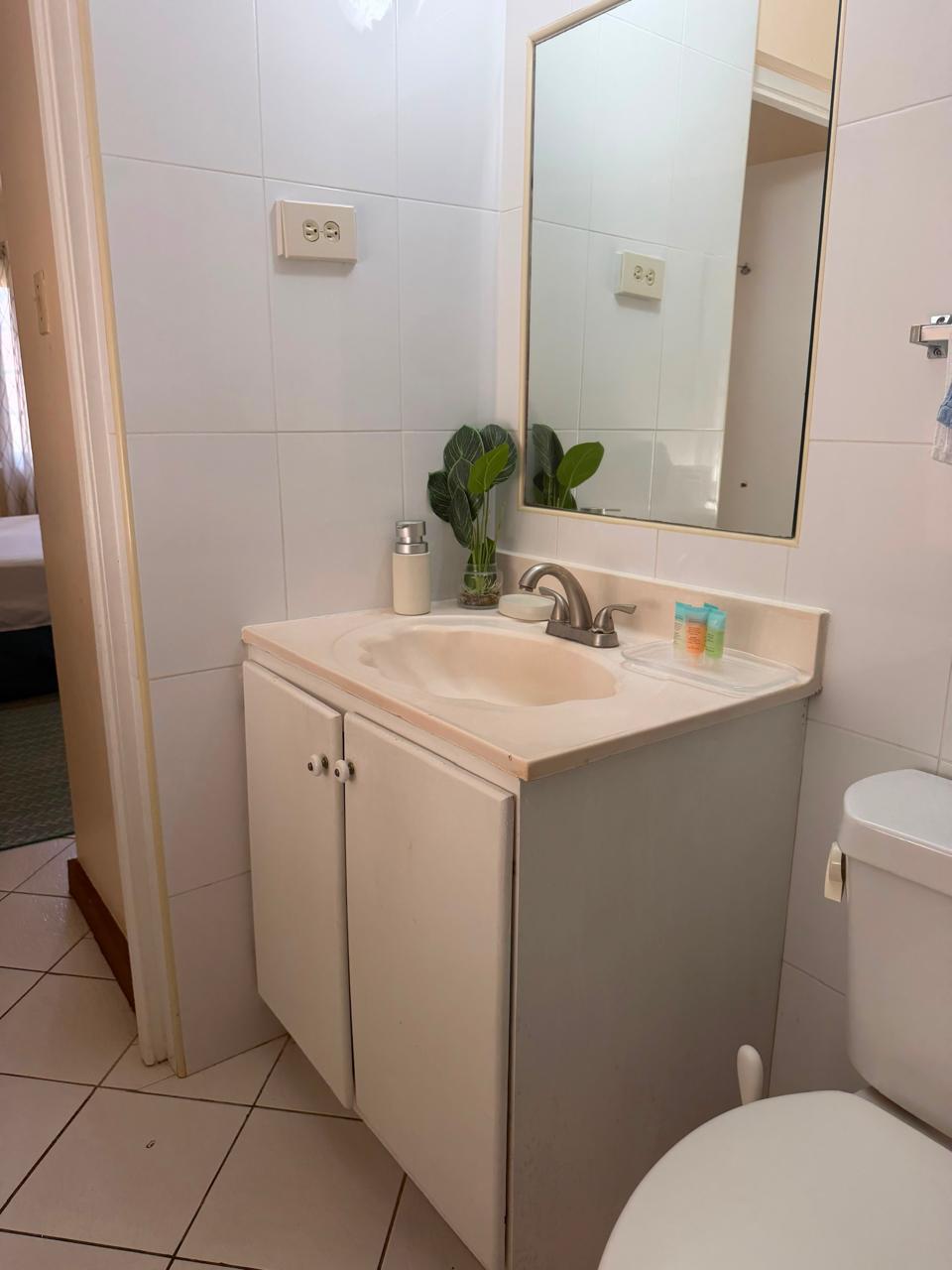 Bathroom vanity — Private apartment